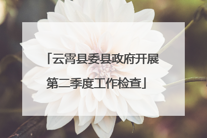 云霄县委县政府开展第二季度工作检查